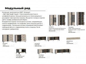 Гостиная Отис Дуб Крафт Серый/Антрацит в Алапаевске - alapaevsk.magazinmebel.ru | фото - изображение 5